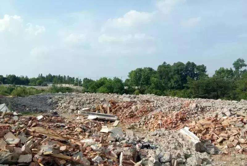 最高法院案例 ：网站上公布文件的期日不能作为起诉期限的起算点