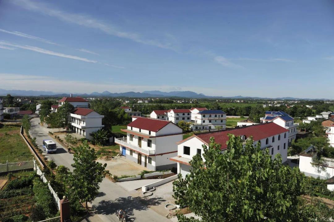 房屋遭强拆，三次网上申请立案均审核不通过，如何救济？