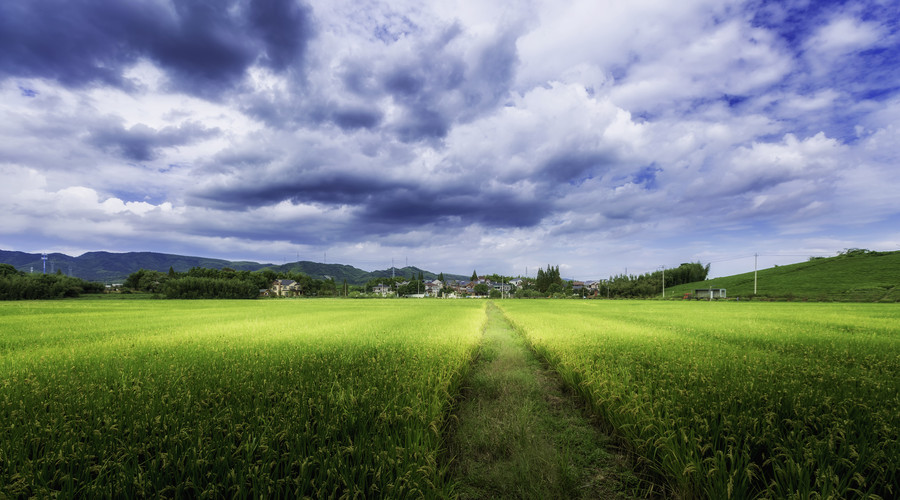土地征用法律法规