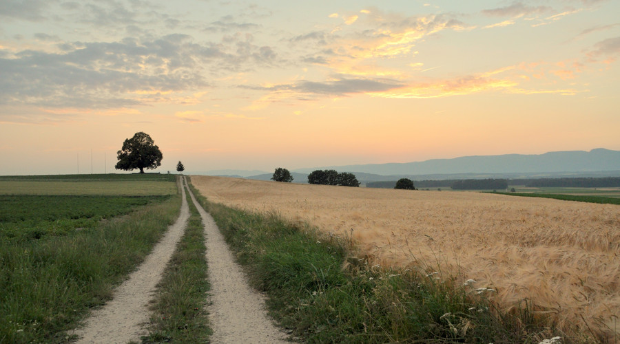鱼塘遇到征收不给补偿怎么办？