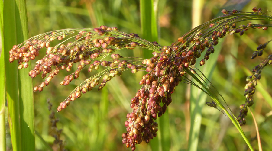 征地补偿安置费包括哪些