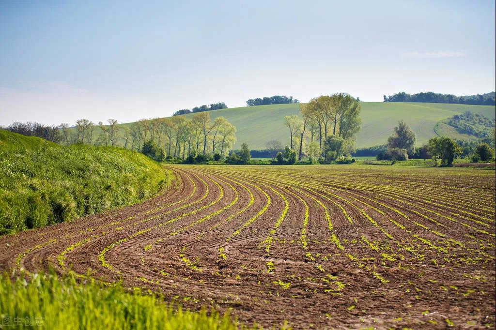 土地确权有哪些作用？