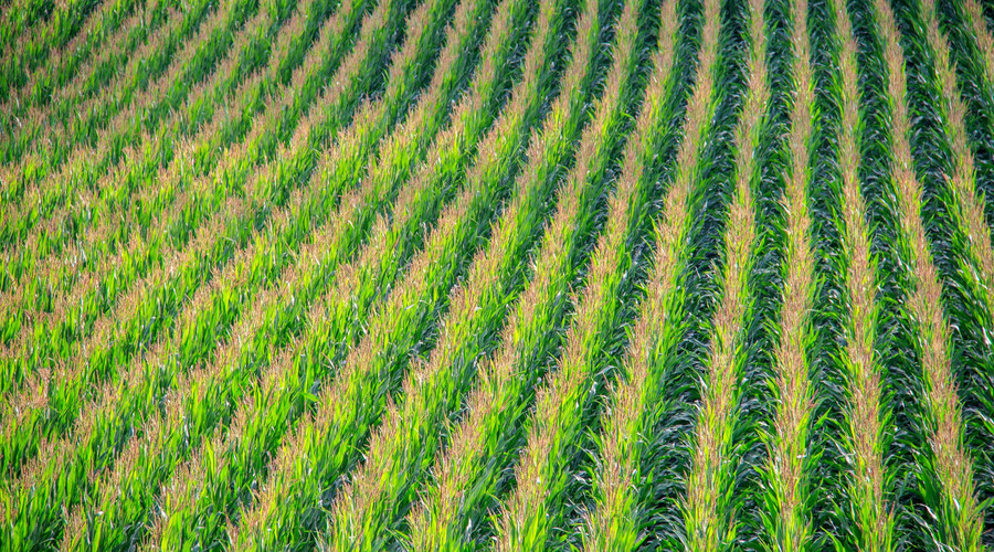 土地抵押贷款要满足什么条件