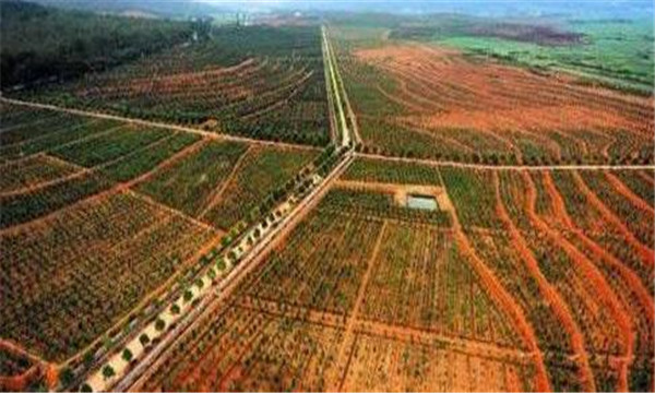 农村土地抵押贷款要什么手续