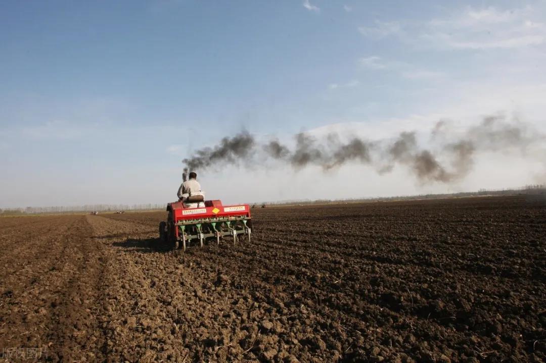 户口没在村里，当地房子的拆迁就没补偿？