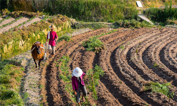 土地使用权收回的情形有哪些呢?