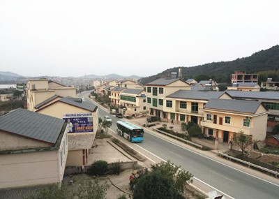 村干部违规征地怎么办