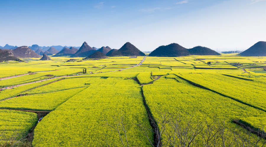 土地证补办时间限制