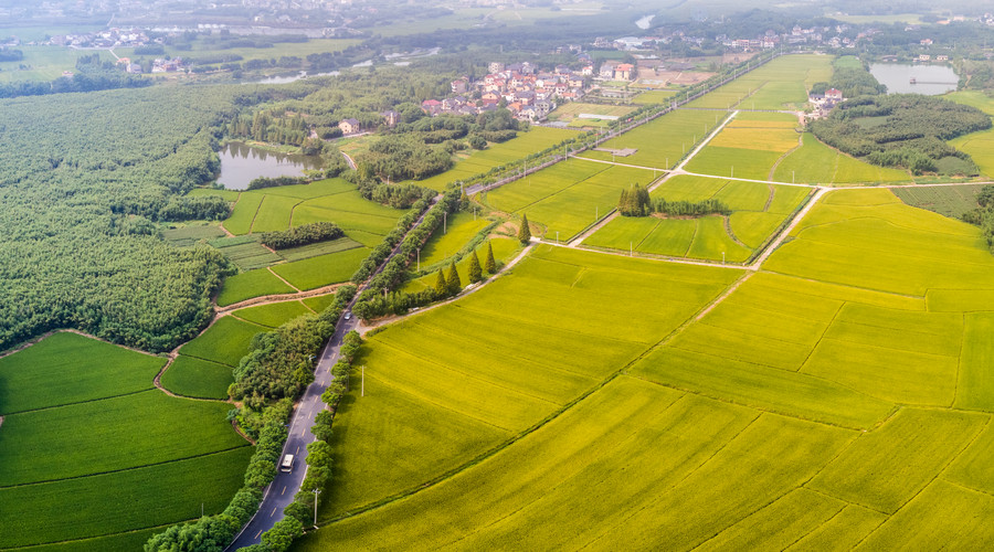 土地所有权证规定