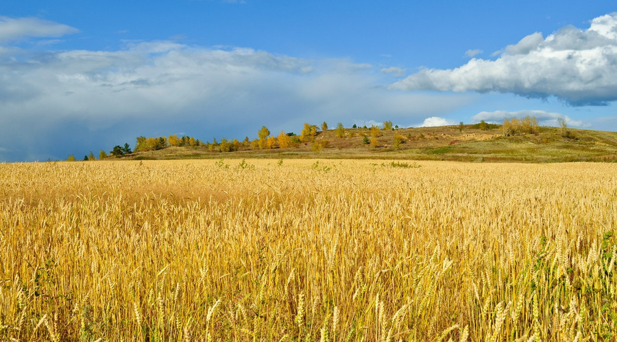 承租土地由谁缴纳土地使用税