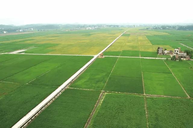 违法建筑是否超过2年没有处罚就合法了，就不能再被强拆了？