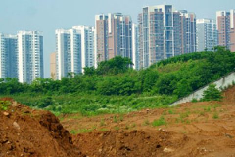 自然资源部门的一份回函就算履行了土地违法查处职责吗？