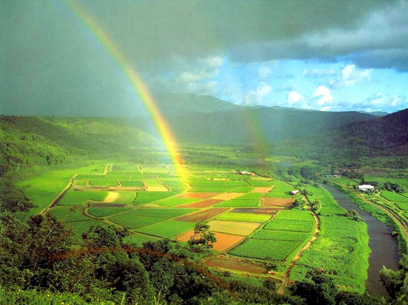 土地承包经营权的诉讼时效有多长