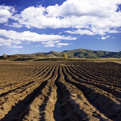 政府征收农村集体土地,需要村民签名同意才能够征收吗?