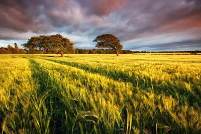 一般农村拆迁纠纷如何解决？