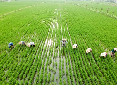 2023农村房屋拆迁补偿标准是多少