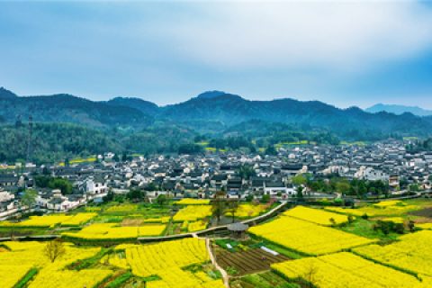 土地被政府征收的，征收人应该怎么做？