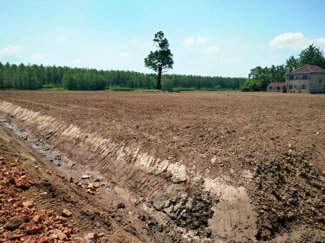 政府征用的土地是否可以用来建造房屋？