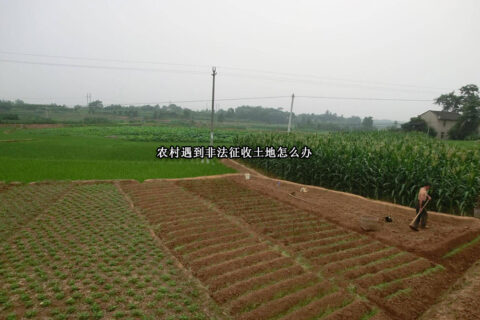 农村遇到非法征收土地怎么办