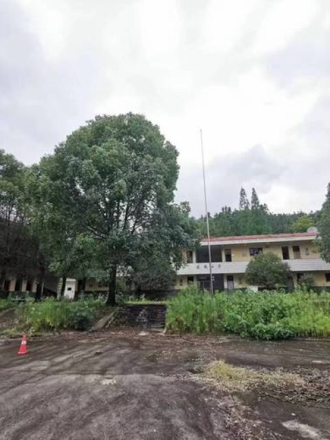 村委会占地后，村民如何打破僵局实现权利升级？