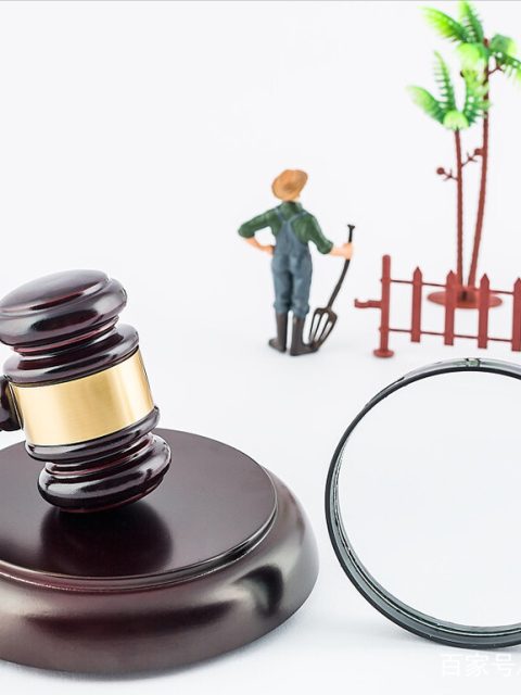 “村民自治”能成为强拆的“挡箭牌”吗？