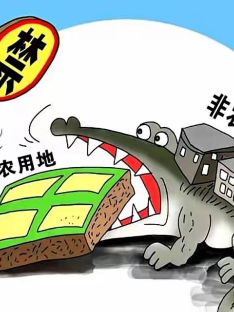 “同一宗地”就等于“土地共有”吗？