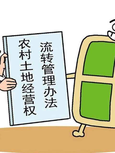承包关系“长久不变”，为何还能强制调地？