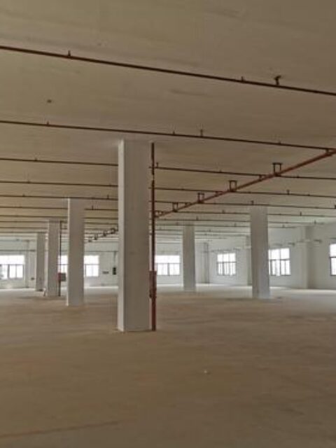 政府征地补偿已发放，出租方再索租金是否构成双重获利？