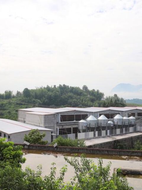 养殖场2008年建成，宅基地批文为何三年后才出现？