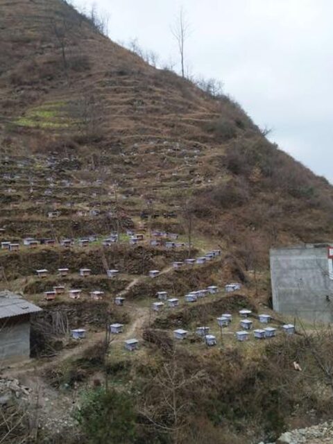 治沟造地项目为何疑遭强占？百万补贴去向何处？