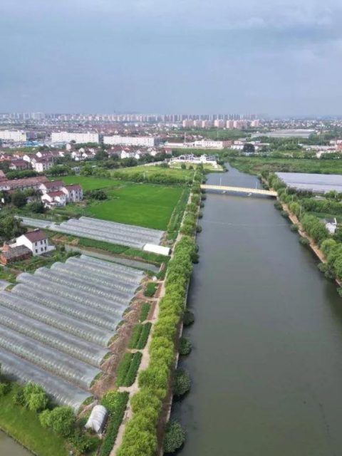影响意愿未阻却报建，能否构成闲置土地免责事由？