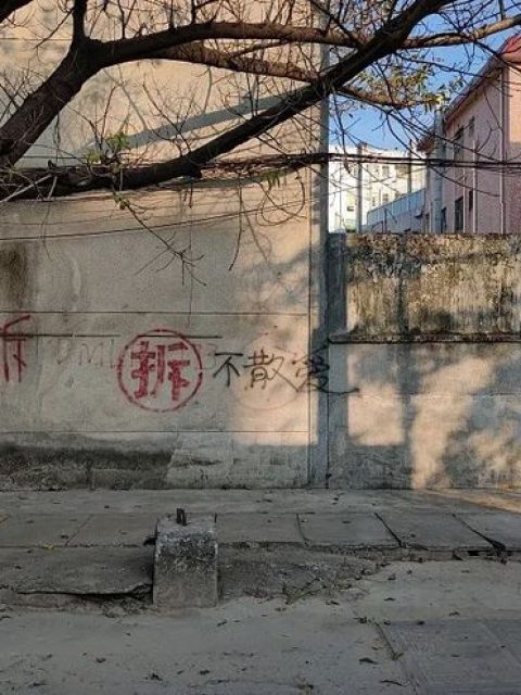 村委会宅基地分配决定，能否提起行政诉讼？